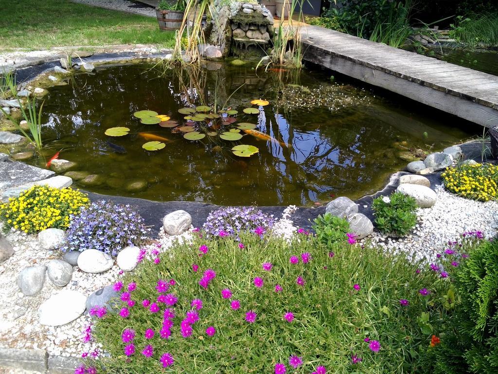 Bed and Breakfast Le Bassin Du Tertre Fronsac  Екстер'єр фото