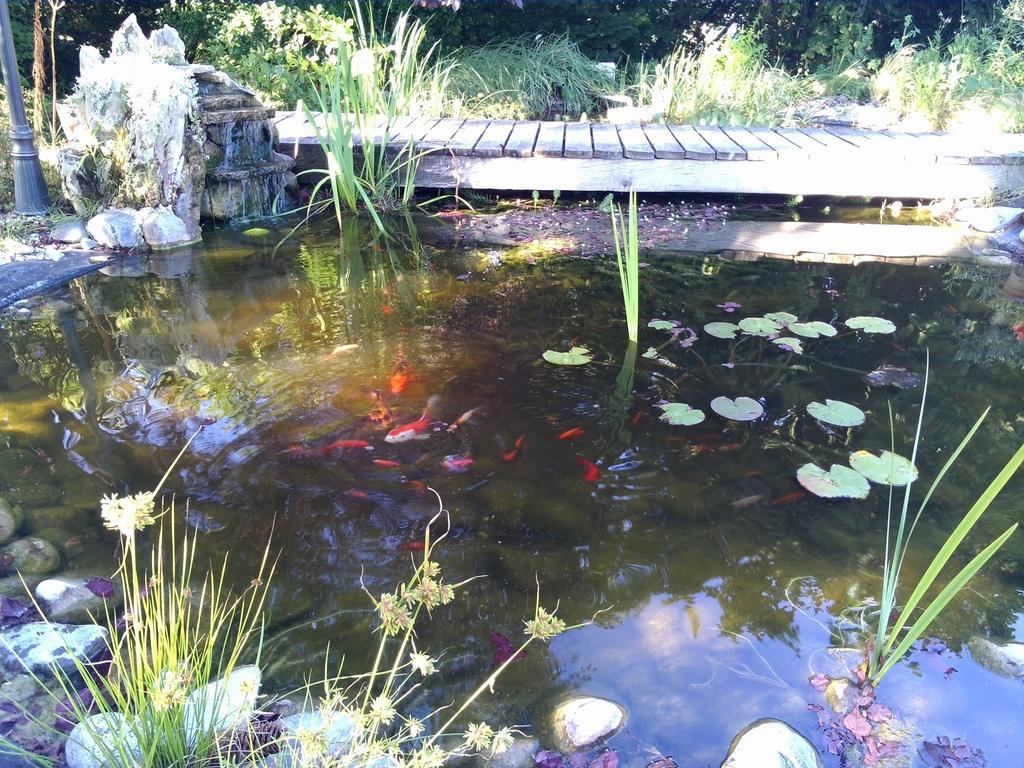 Bed and Breakfast Le Bassin Du Tertre Fronsac  Екстер'єр фото